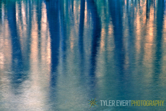 River Trees