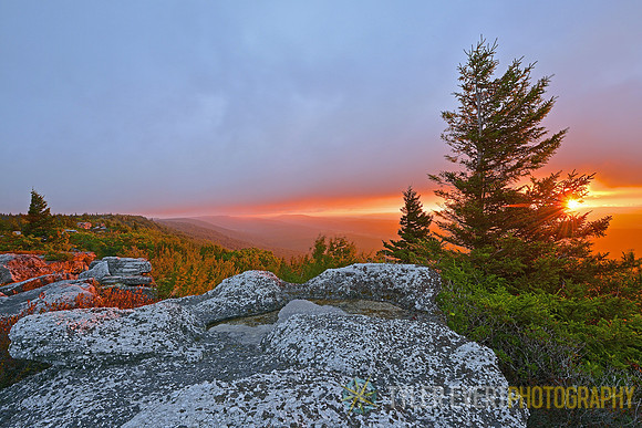 Dolly Sods