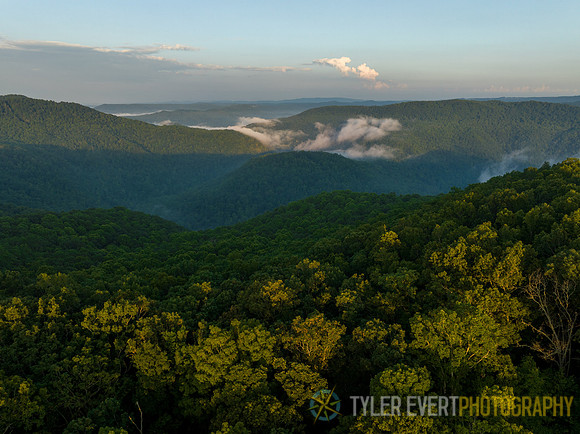 Bluestone Gorge