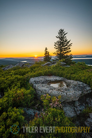 Dolly Sods