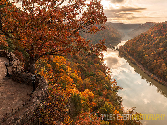 Hawks Nest