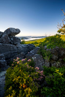 Dolly Sods