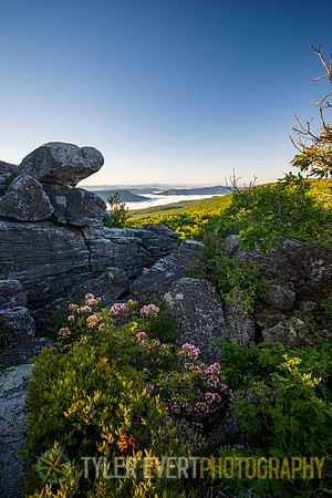 Dolly Sods