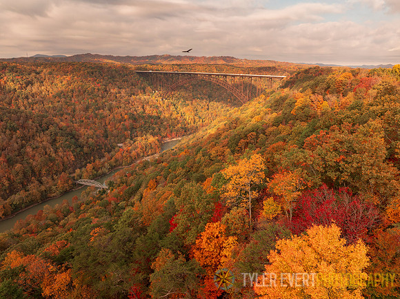 New River Gorge