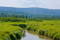 The Land of Canaan
