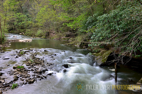 Paint Creek