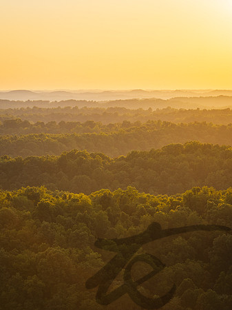 Roane Co