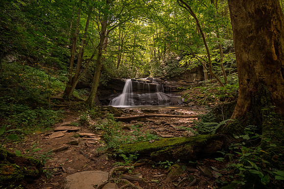 Holly River