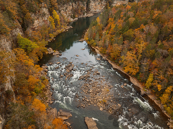 Gauley