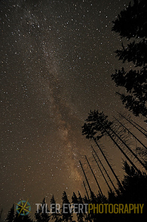 The Milkyway above Snowshoe, West Virginia