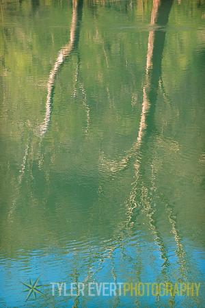 The South Branch