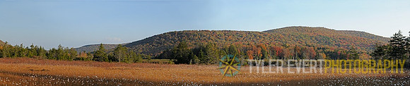 CranPanorama