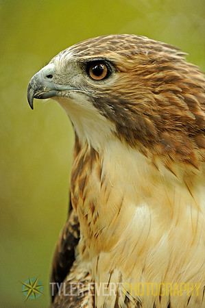 _DSC8289