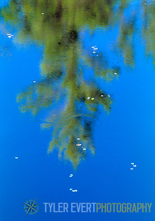 EnMonet
