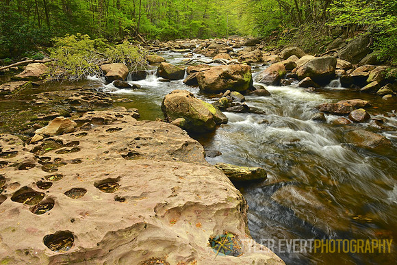 Otter Creek