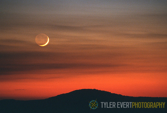 Spruce Moon