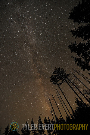 Snowshoe at Night