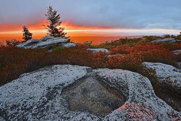 Bear Rocks