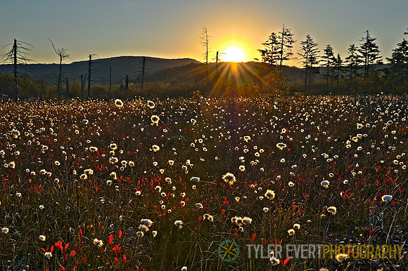 GladeHDR4 (1)